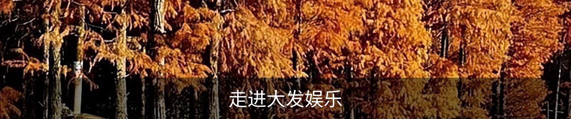 走进大发娱乐